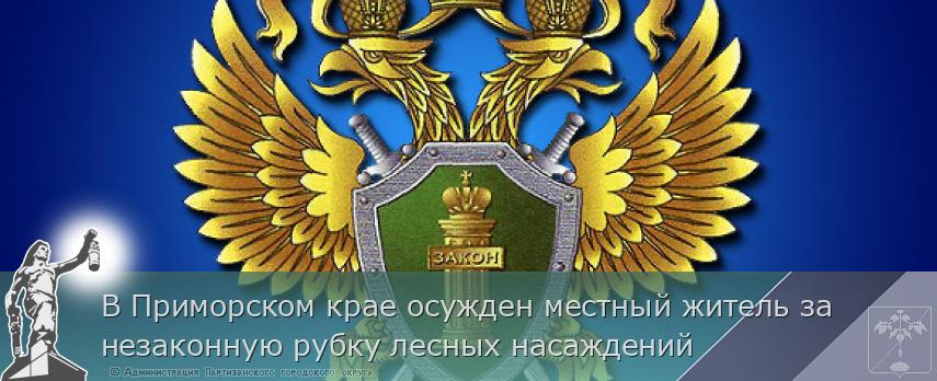 В Приморском крае осужден местный житель за незаконную рубку лесных насаждений | Администрация муниципального округа город Партизанск Приморского края Официальный сайт