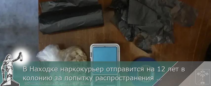 В Находке наркокурьер отправится на 12 лет в колонию за попытку распространения наркотиков | Администрация муниципального округа город Партизанск Приморского края Официальный сайт