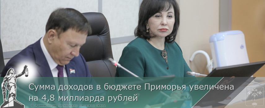 Сумма доходов в бюджете Приморья увеличена на 4,8 миллиарда рублей | Администрация муниципального округа город Партизанск Приморского края Официальный сайт