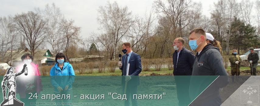 24 апреля - акция "Сад  памяти" | Администрация муниципального округа город Партизанск Приморского края Официальный сайт